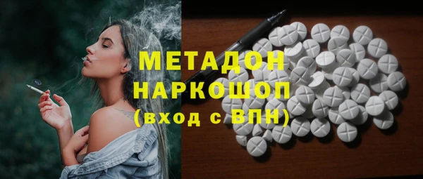 прущие грибы Елабуга