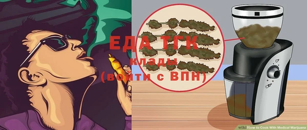 прущие грибы Елабуга