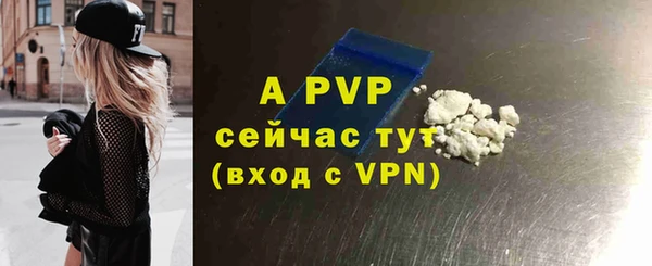 прущие грибы Заволжье