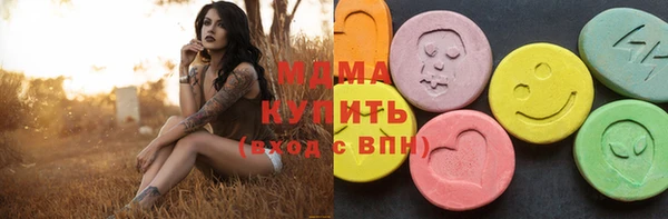 МДПВ Ельня
