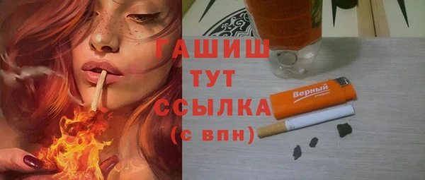 прущие грибы Елабуга