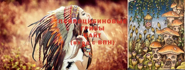 прущие грибы Елабуга