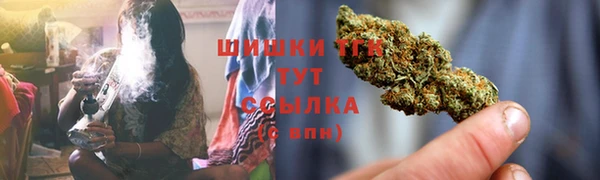 прущие грибы Елабуга