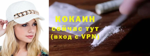 прущие грибы Елабуга