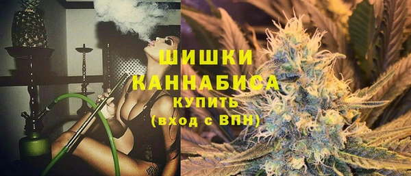 МДПВ Ельня