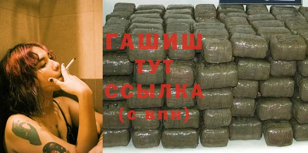 МДПВ Ельня