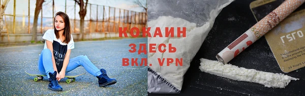 прущие грибы Заволжье