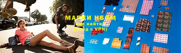 прущие грибы Елабуга