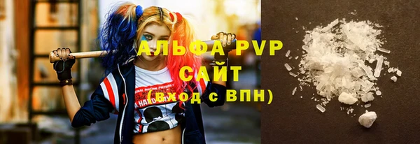 прущие грибы Заволжье