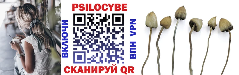 купить наркотики сайты  Нефтекамск  Псилоцибиновые грибы Psilocybine cubensis 